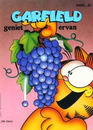 Garfield 21 - Geniet ervan (2ehands)