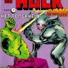 De verbijsterende Hulk 6 - Het topgeheim (Tweedehands)