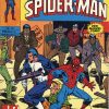 De Spectaculaire Spiderman 12 - De wraak van de Punisher (Junior Press) (2ehands)