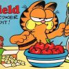 Garfield - Omvangrijker dan ooit! (2ehands)