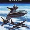 Buck Danny 1 - Blackbirds, deel 1 (Nieuw)